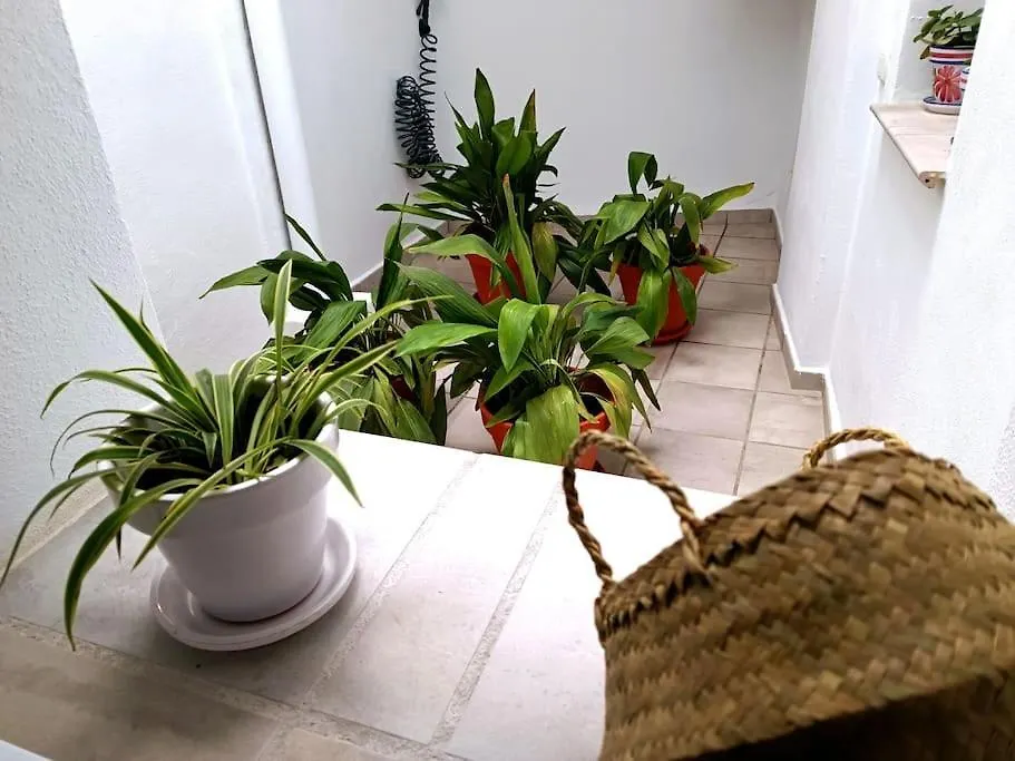 Apartamento Alberzana - Barrio Albaicin - Granada 0*,